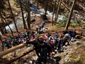 d381f-8e6d-4c81-b56b-ff