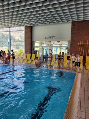 bf4ba-21ce-4b7e-9bc5-592144d0e3e