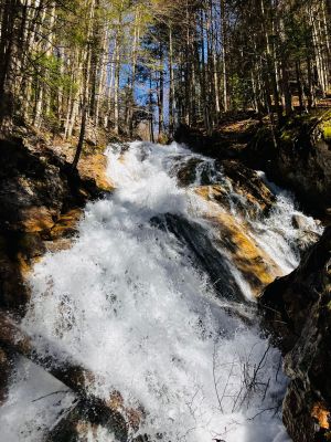 a8d542-1ccb-4188-8003-d95aadf35ca