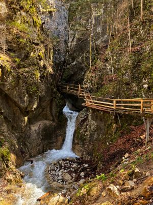 d970e20-62ec-477b-88c7-695666eb02f