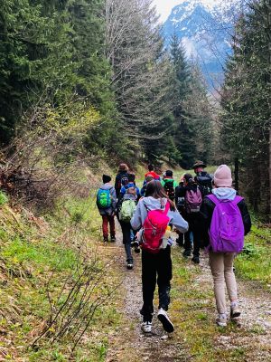 d33105b-6b01-4c54-96c2-1f417e6033b