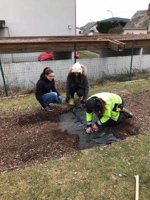 b-3674-44a4-abf9-dc3e9f1fd