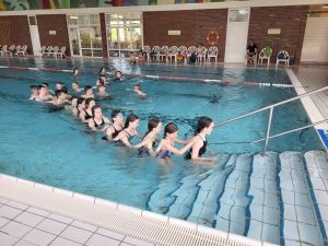 c3132a5-d472-40cb-bfef-ef6acfcbd