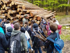 d59afd-6890-44b5-990b-e65b1b1b1b2a