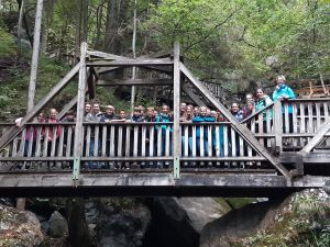 -e51b-416f-b967-350f66a2ca