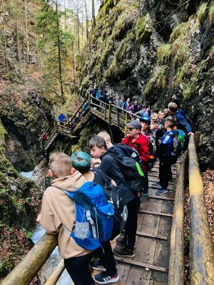 a9ee354-abfa-47df-9a70-8533995ad86e