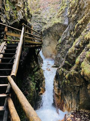 d98-14fe-4183-b413-71957244766a