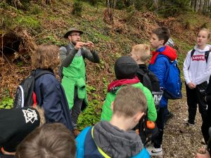 e8d3142-de17-4589-9031-c5ddd01ea92d