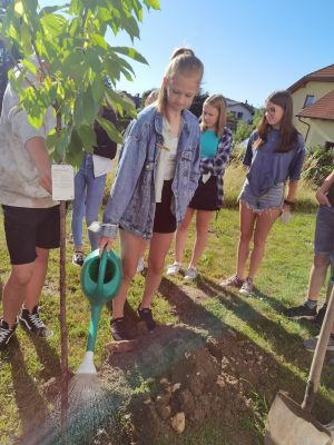 IMG 20210701 075407 resized 20210701