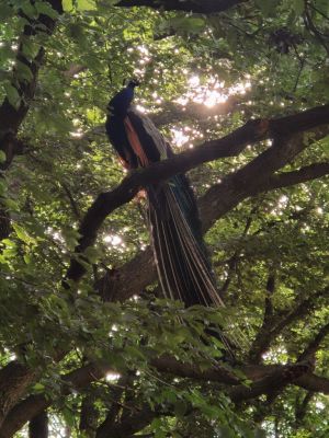 IMG 20220617 085029 resized 20220617