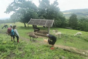 IMG 20220617 105912 resized 20220617