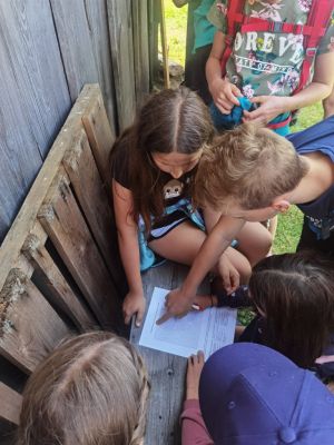 IMG 20220617 110436 resized 20220617