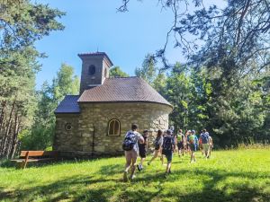 IMG 20230626 093524 resized 20230626