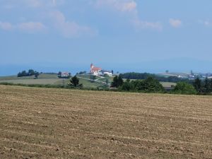 IMG 20230626 105020 resized 20230626