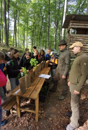 IMG 20240516 090303 resized 20240517