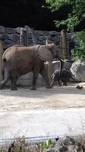 PHOTO-2019-09-25-11-00-