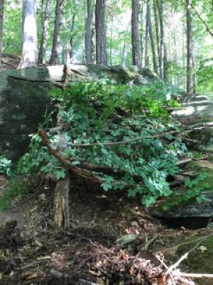 PHOTO-2020-09-24-09-48-