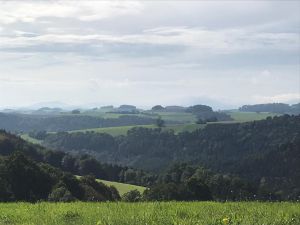 PHOTO-2020-09-24-09-48-