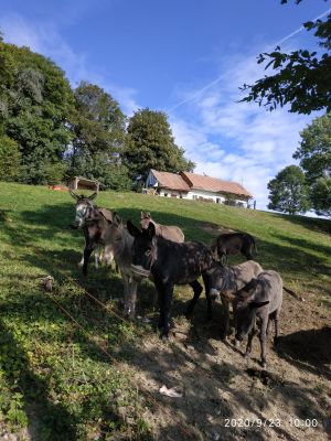 PHOTO-2020-09-24-12-35-