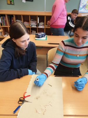 PHOTO-2023-05-22-09-22-