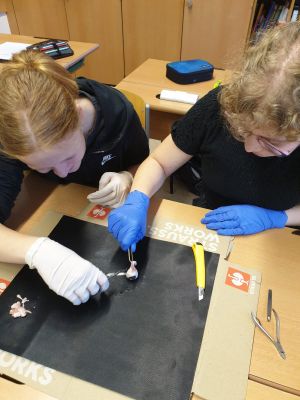 PHOTO-2023-05-22-09-22-58-