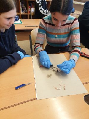 PHOTO-2023-05-22-09-22-