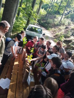 PHOTO-2023-05-23-13-47-50-