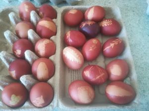 PHOTO-2024-03-20-08-36-29-