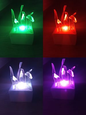 WhatsApp Image 2024-01-22 at 180601-