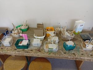 WhatsApp Image 2024-01-22 at 180601-