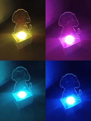 WhatsApp Image 2024-01-22 at