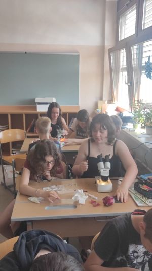 WhatsApp Image 2024-06-19 at 133609-