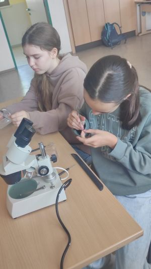 WhatsApp Image 2024-06-19 at