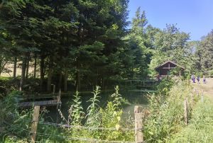 WhatsApp Image 2024-06-24 at