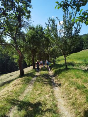 WhatsApp Image 2024-06-24 at 112504