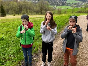 a21c3a65-cd05-4bc9-a073-ff236ca0100a