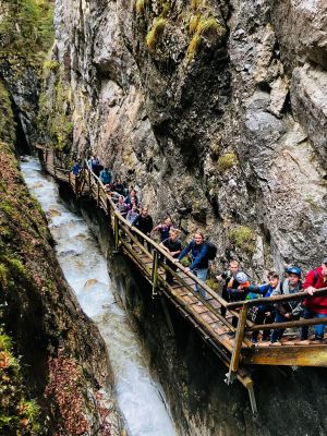 ab11b7b4-0c38-4600-9526-35fd7494a1b