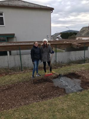 ab6277bf-852f-4c82-93a9-ff2fdf6d9c