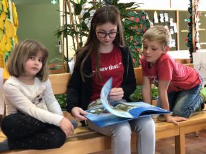 acf5f439-4145-4b9a-b3bd-397b5c4c72a