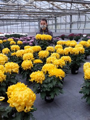 d1012b7e-d1e6-4b4a-9414-1e095f04c76b