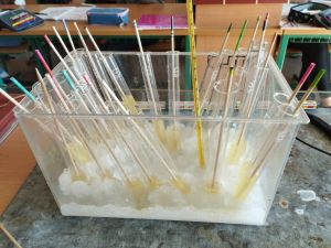 d42a7f63-c42b-4117-bd78-ae86c65f2efc