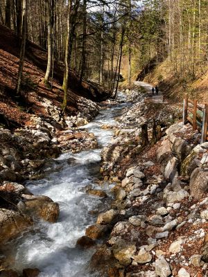 e96a270f-6e0b-44b0-8d03-5df6295b6bd