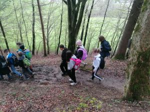 ea3f9eb7-0816-45a4-87f0-85c9dcd087fd